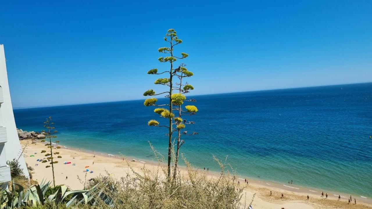 Sesimbra Sun&Sea - Beachfront Apartment! Экстерьер фото